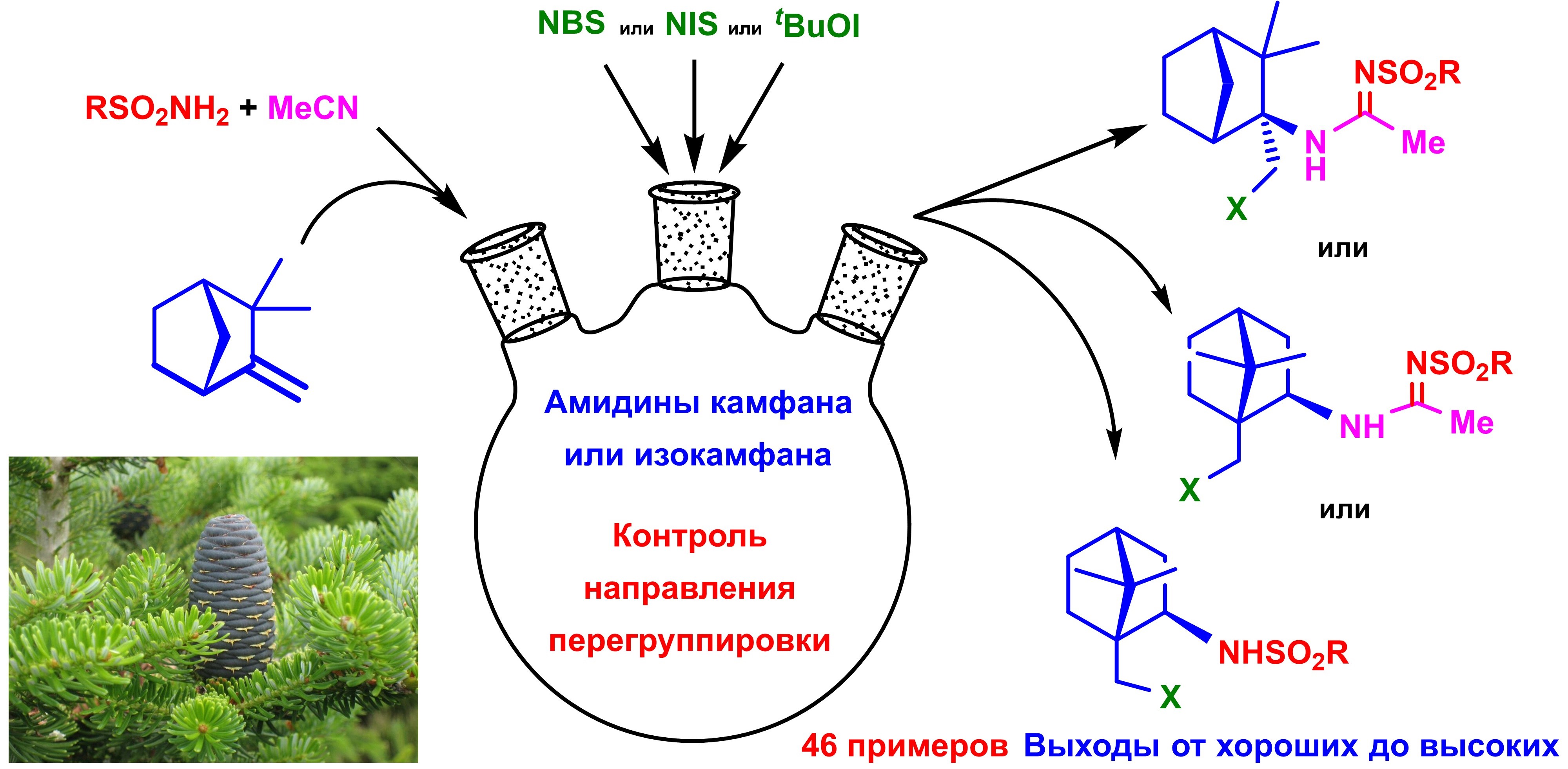 galosulfonamidirovanie-kamfena-khemo-i-stereoselektivnost-pereg_p73004