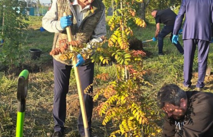 IMG_20240906_095209_610